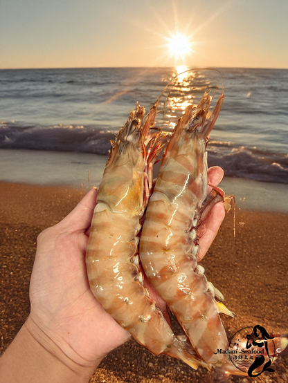 Queensland Wild Tiger Prawn (Jumbo 6/8) (Raw) (Frozen)