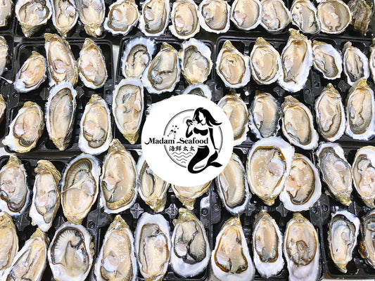 Fresh SA Pacific Oysters (Large) (Open)
